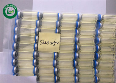 Semi Finished Sust Anabolic Steroids Blend Cutting Steroid Sustanon 250mg/ml